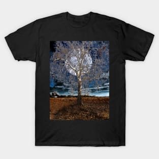 Sycamore Tree Under a Blue Moon T-Shirt